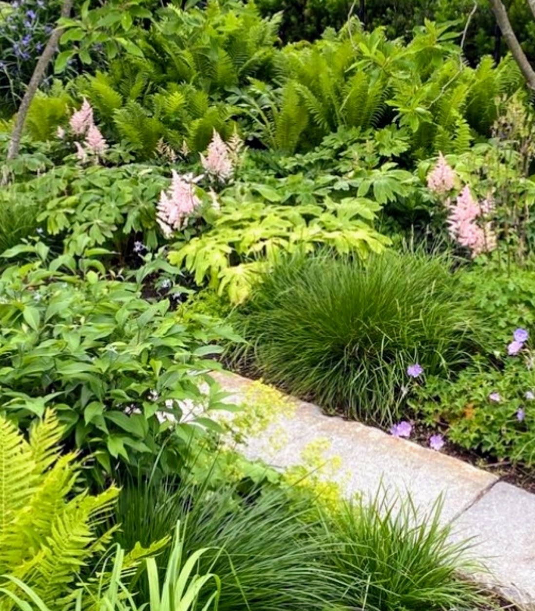 Terraced hillside garden, The Hillside House