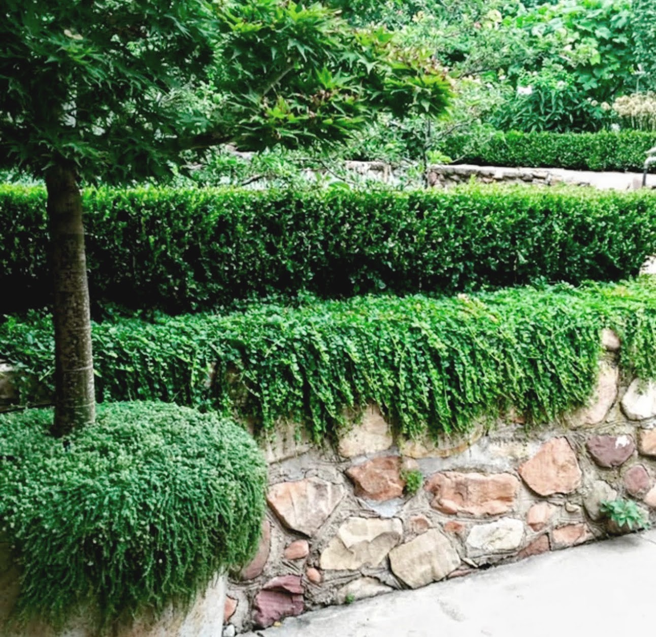 Layered perennial border