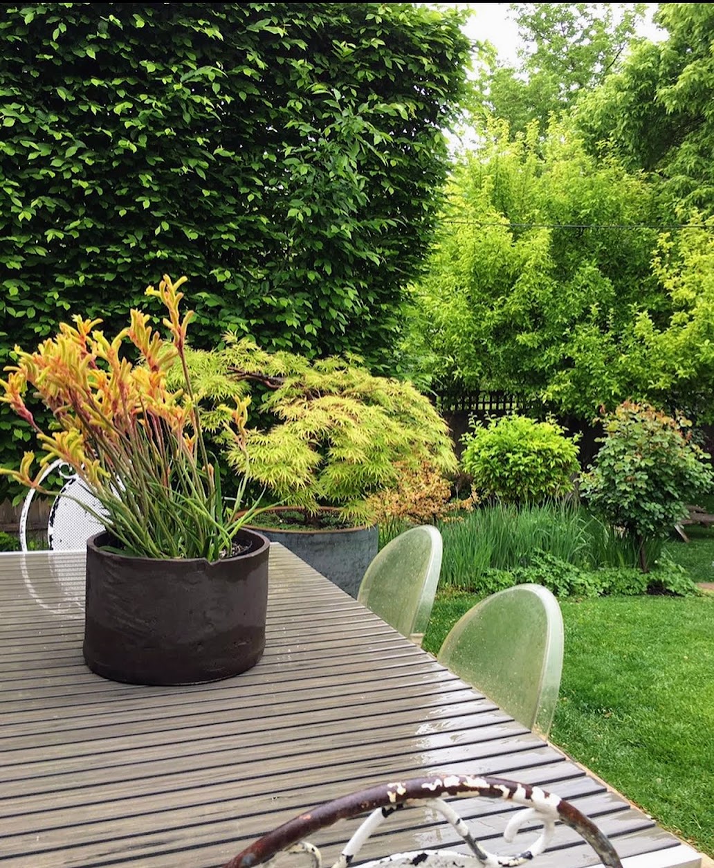 Stone terrace with table, Harvard Gardens