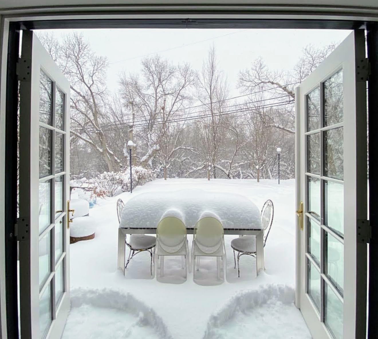 Winter garden, Harvard Gardens