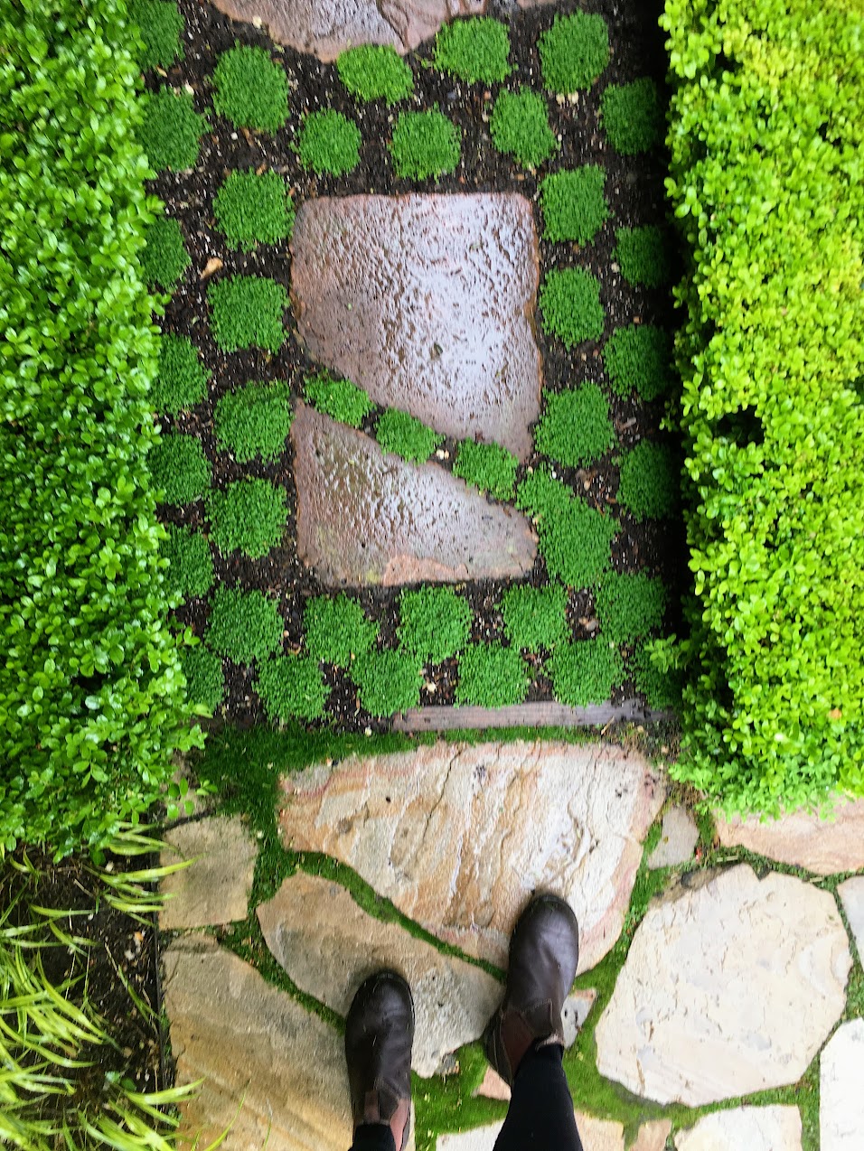 Moss and stone checkerboard path
