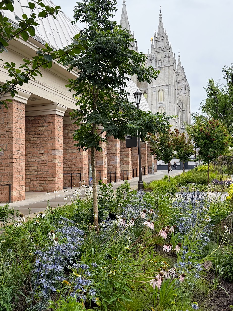 Border with temple view