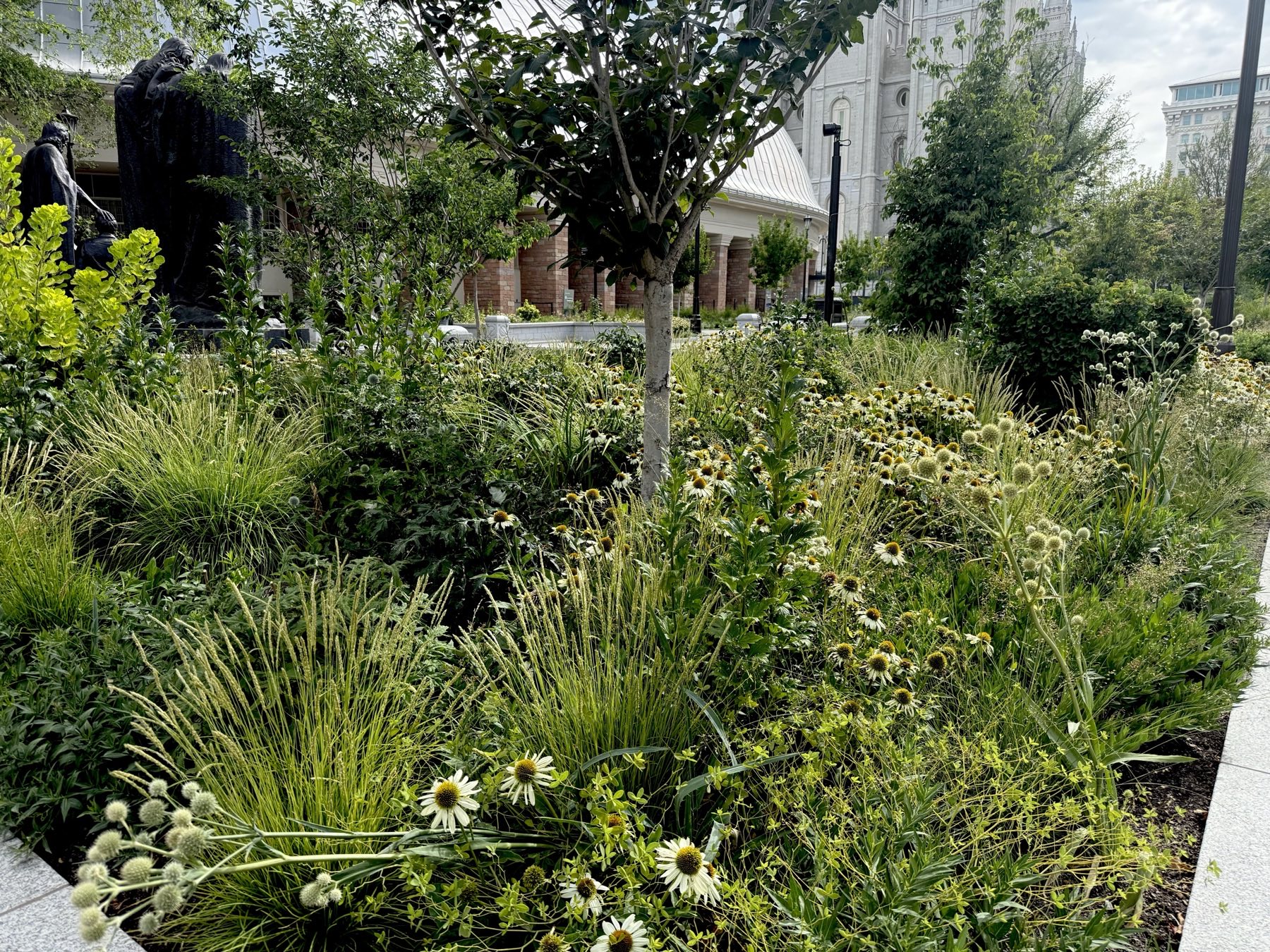Coneflowers and native grasses with the Salt Lake Temple beyond