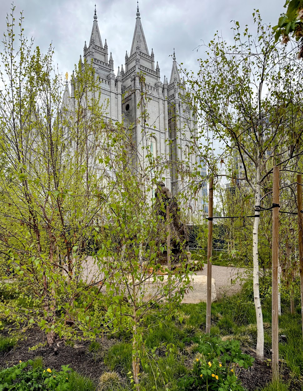 Sacred Grove, Temple Square