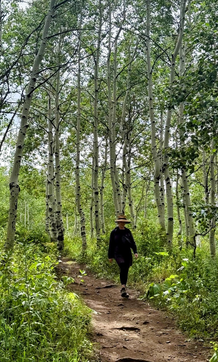 Hiking trail near Sundance