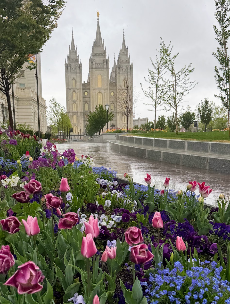 Tulip border with the Salt Lake Temple beyond