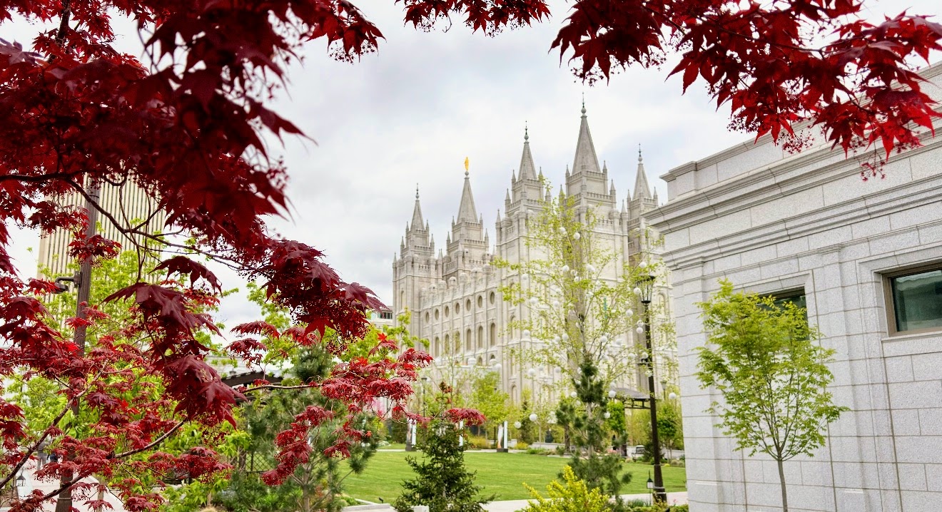 Red maple, Temple Square