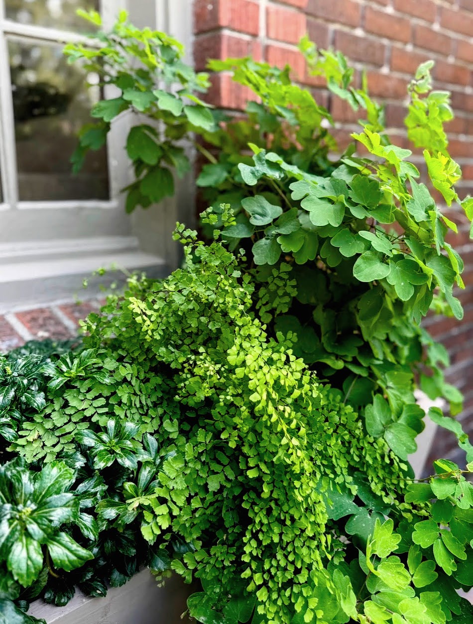 Layered planting, The Hillside House