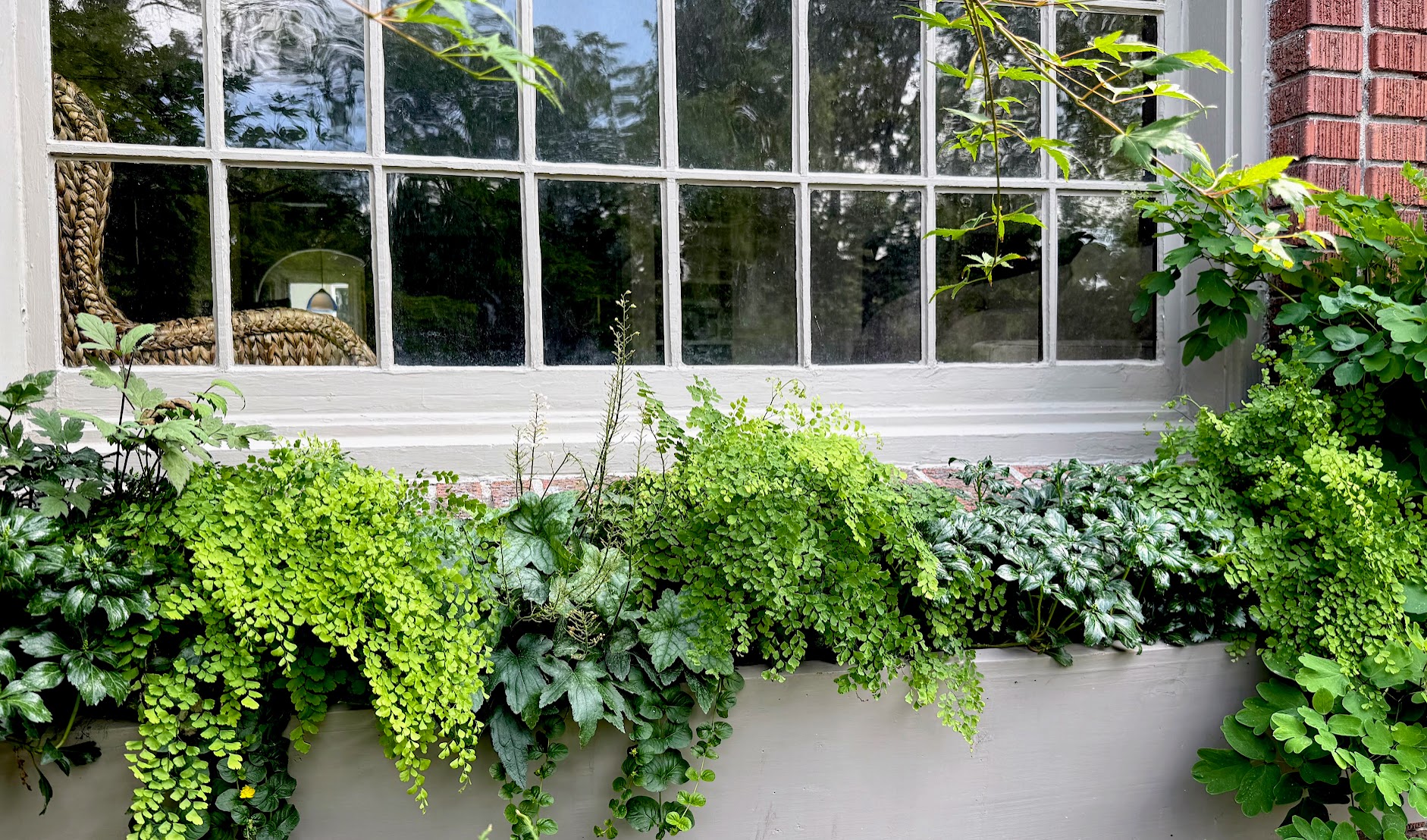 Window box planting, The Hillside House
